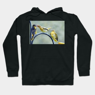 Hungry fledglings Hoodie